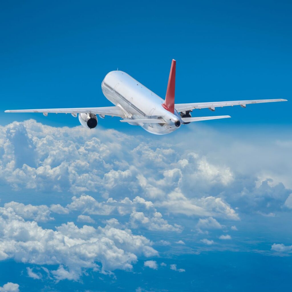 flight