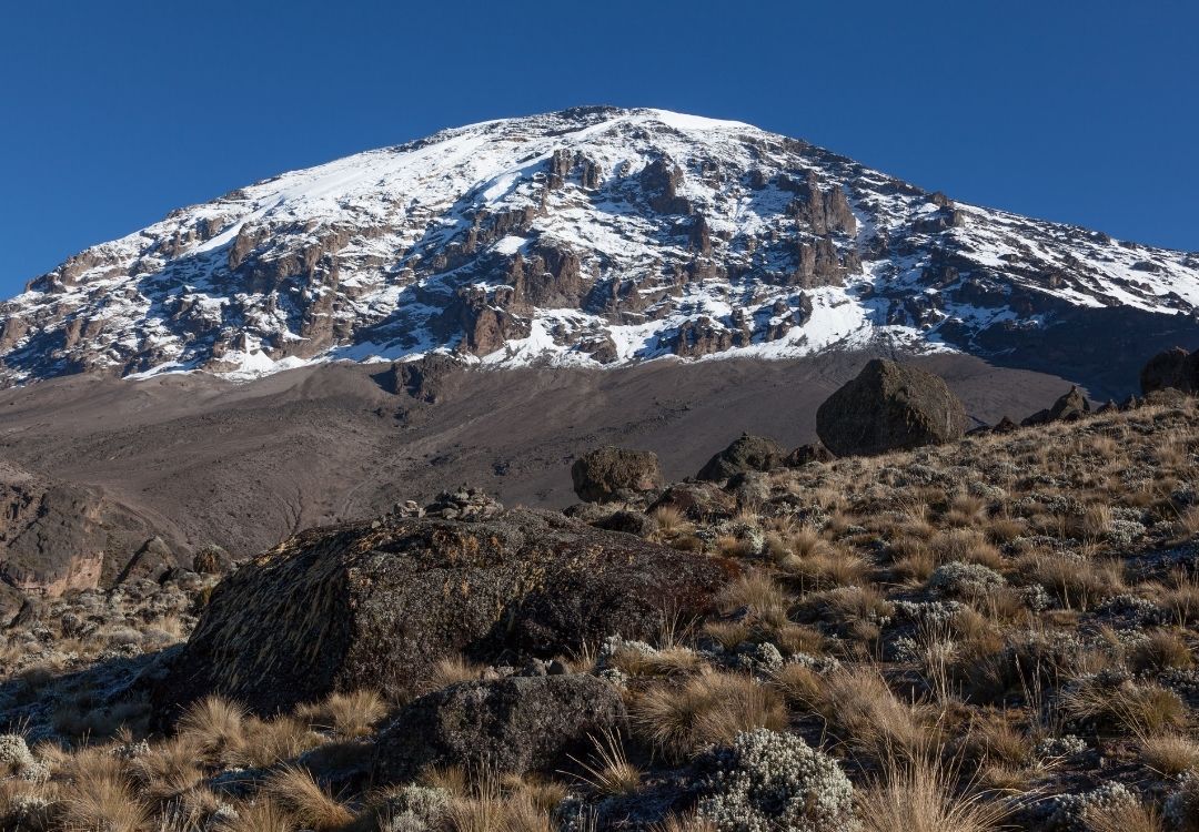 lucha kilimanjaro marangu route