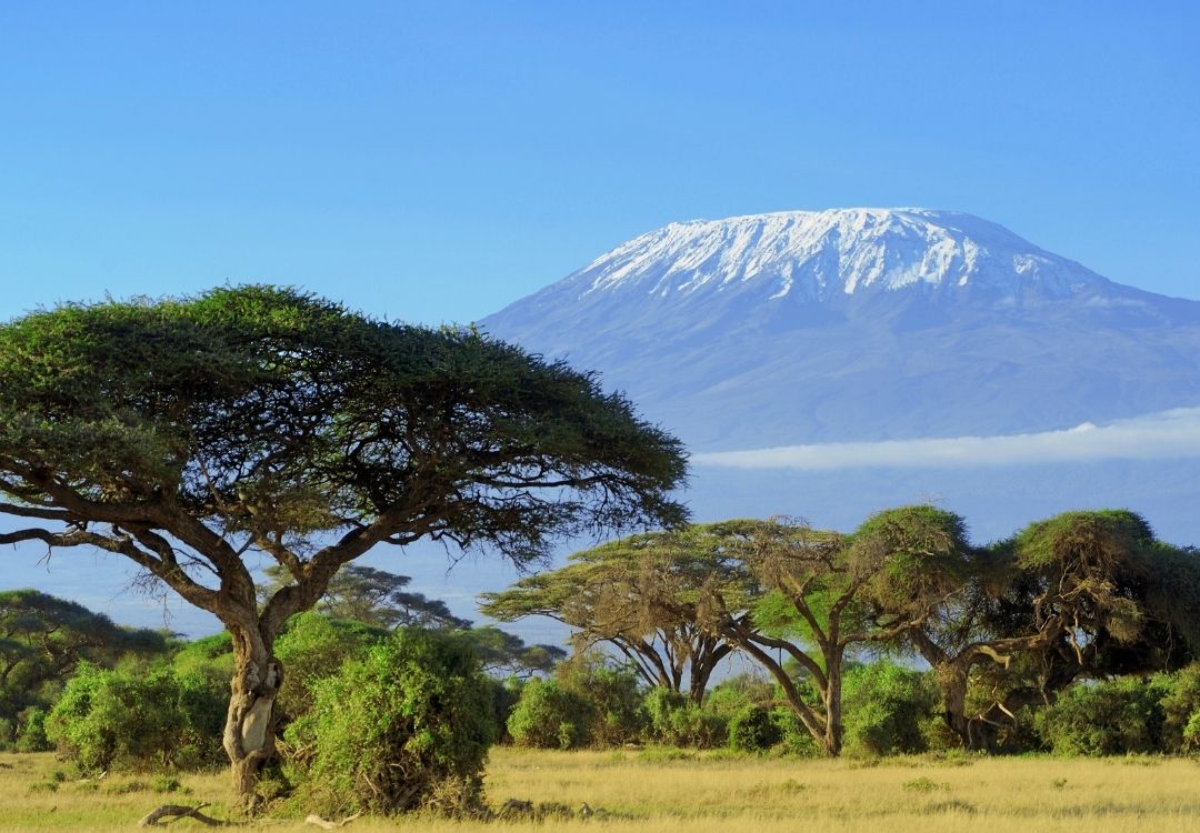 lucha kilimanjaro northern route