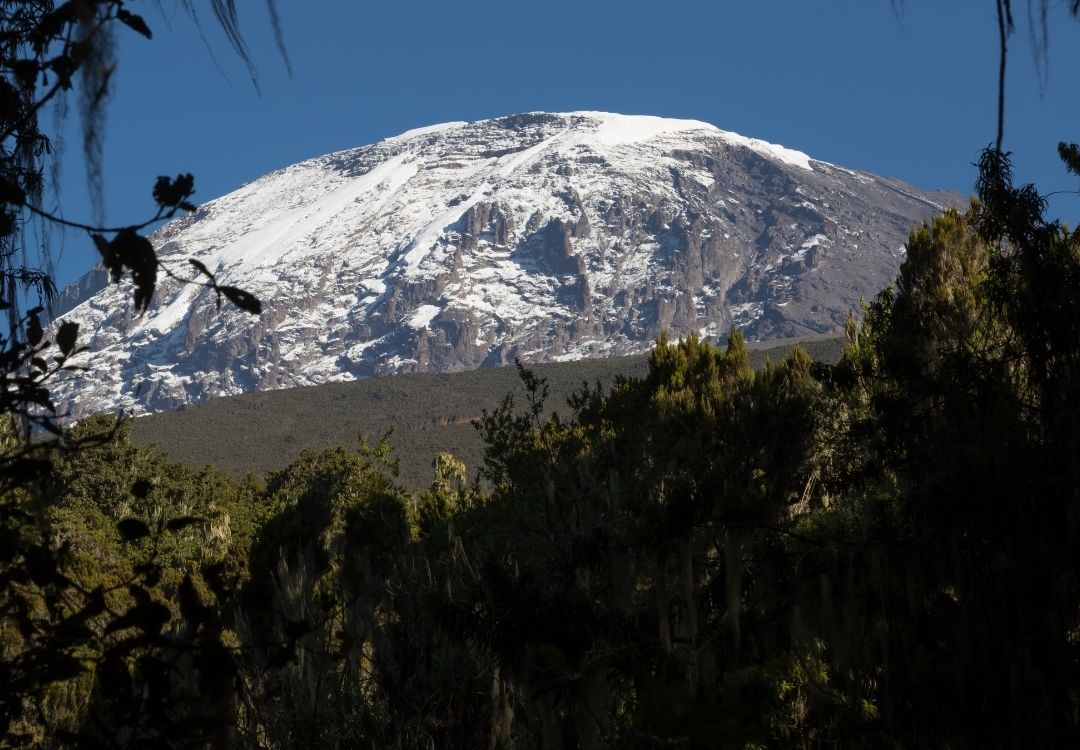 lucha kilimanjaro rongai route