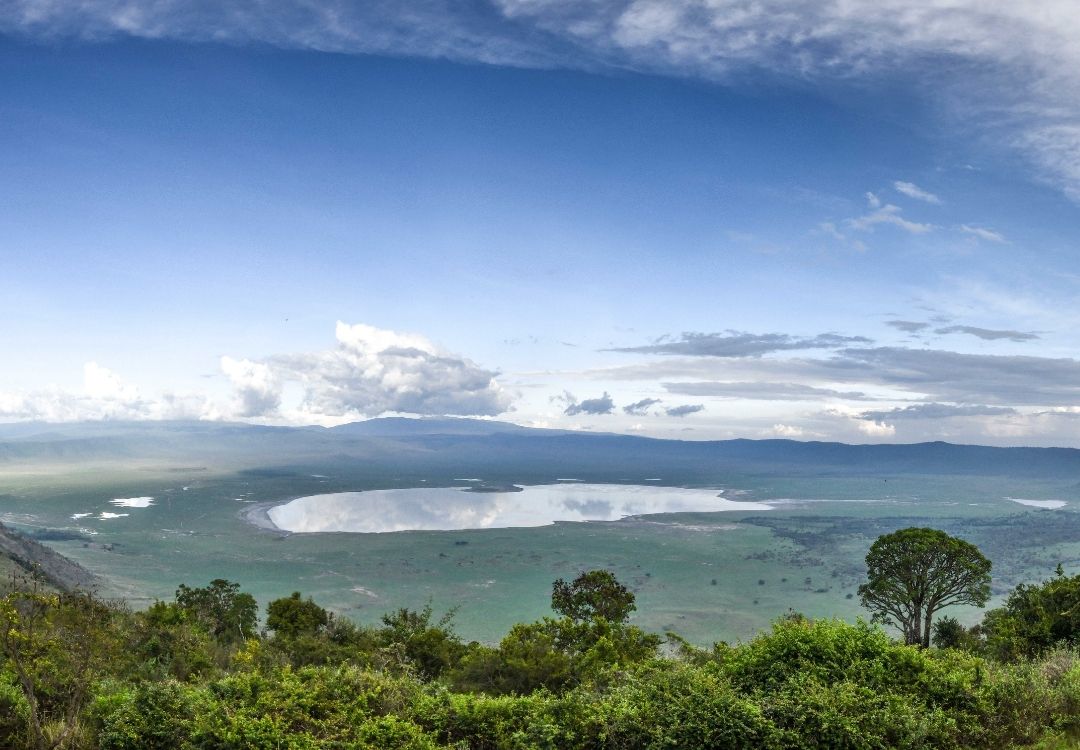 ngorongoro lucha