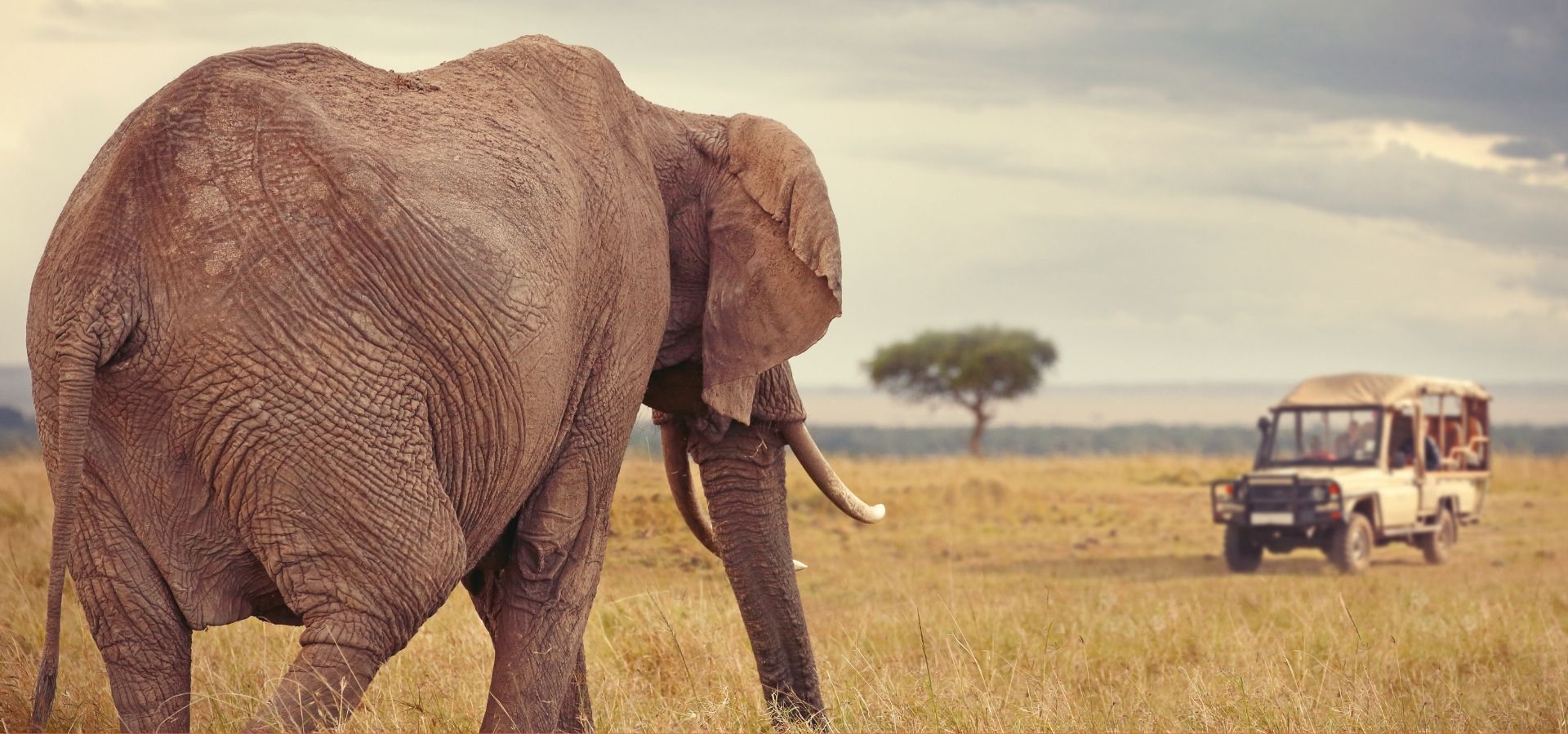 Tanzania safari with Lucha Adventures