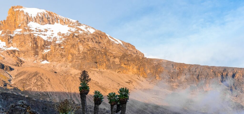 Climb Mount Kilimanjaro Lemosho through Lemosho Route