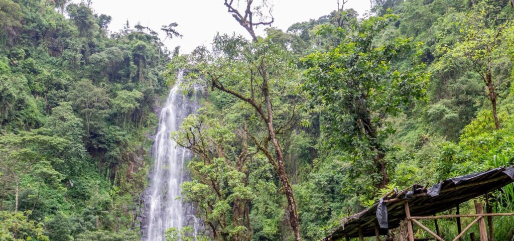 Materuni Waterfalls and Coffee Tour