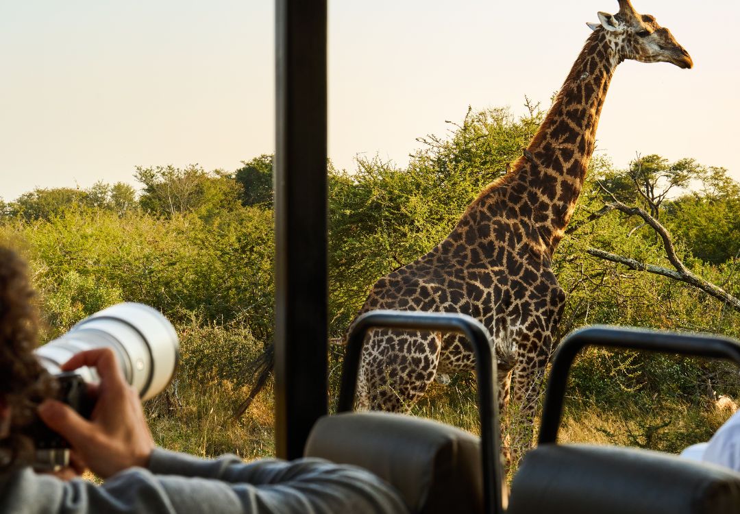 Tanzania Photographic Safari