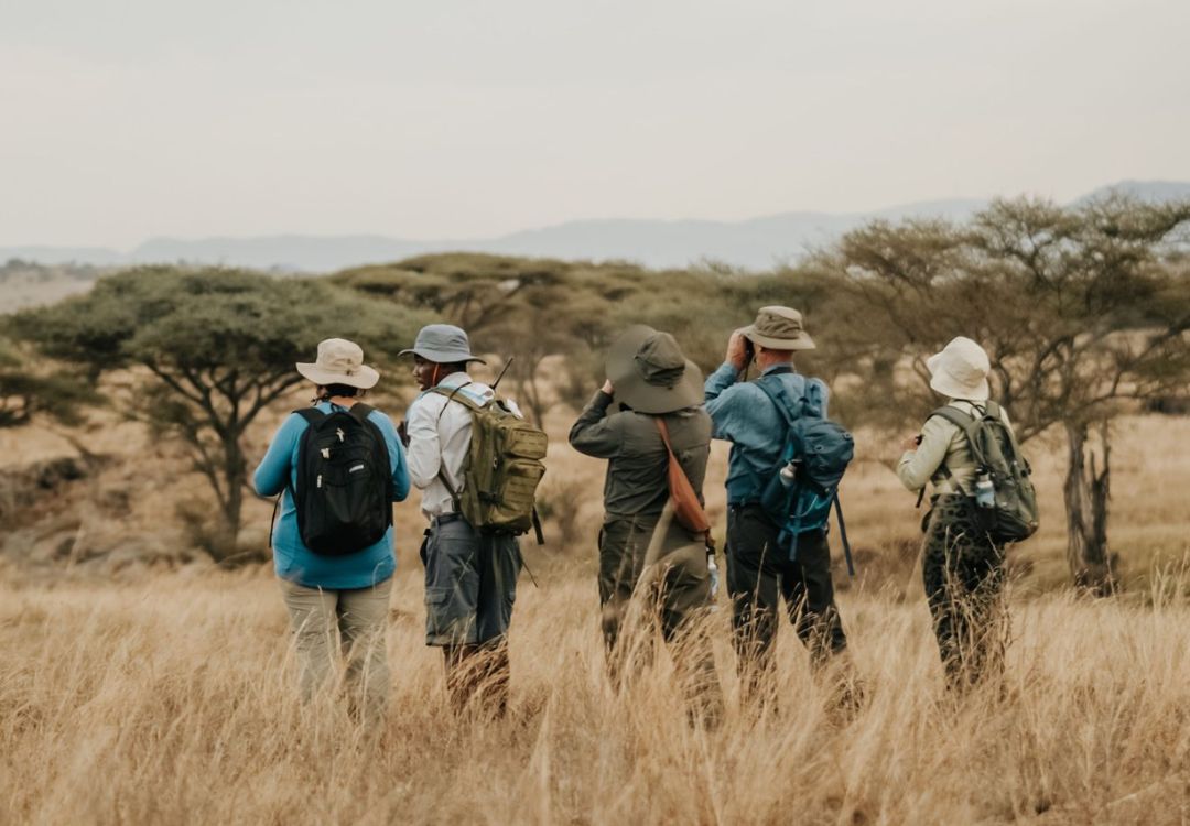Walking Safari and Bush Experience in Tanzania