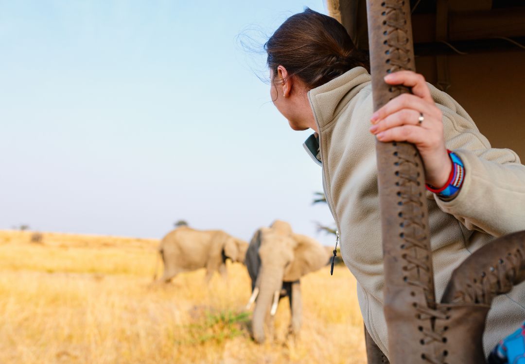 Classic Wildlife Safari in Tanzania